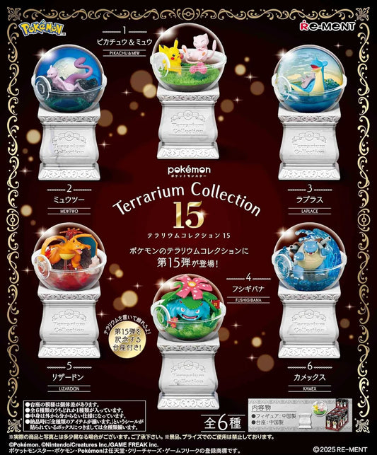 Terrarium Collection 15